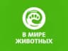 В мире животных